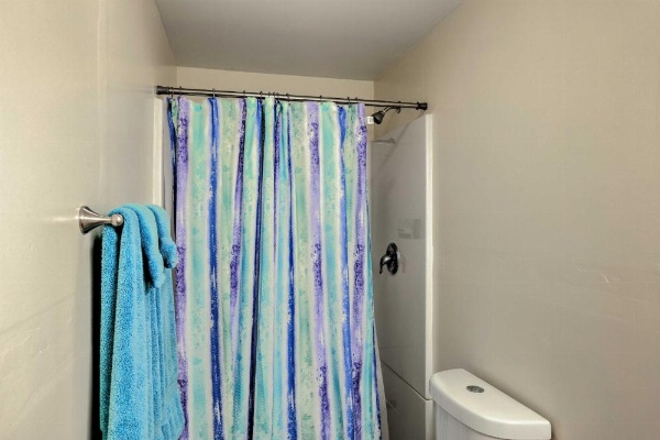 Lovell Home Drive to Bighorn Mtn, Yellowstone image 10